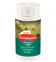 CONCHUELA 100 GRS