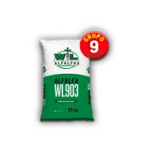 SEM. ALFALFA WL 903 (20KG) 