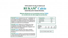 RUKAM CALCIO