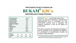 RUKAM KBCA (CALCIO BORO)