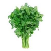 SEM. CILANTRO ARCAGEL (1-KG)