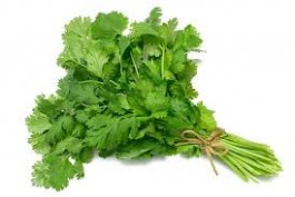 SEM. CILANTRO EM-500 (1-KG)