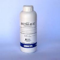 BECTRA 480 ((1-LT) HERBICIDA